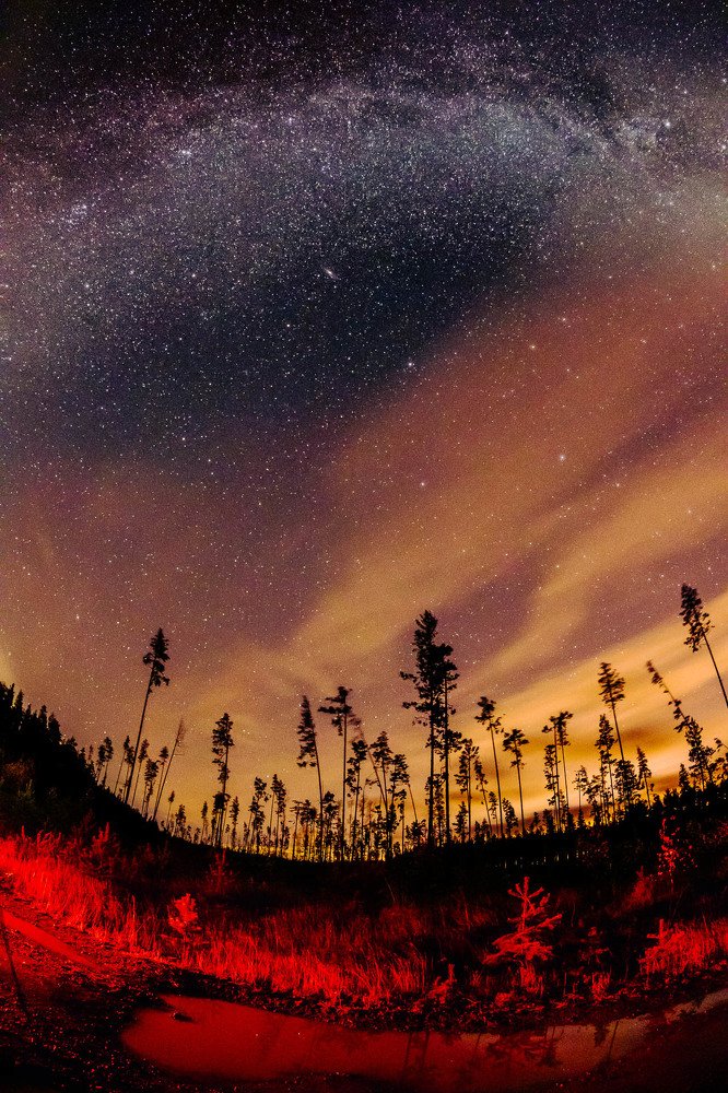 Photograph by Алексей Середенин