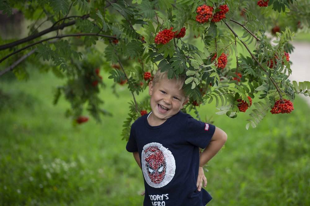 Рябиновое настроение