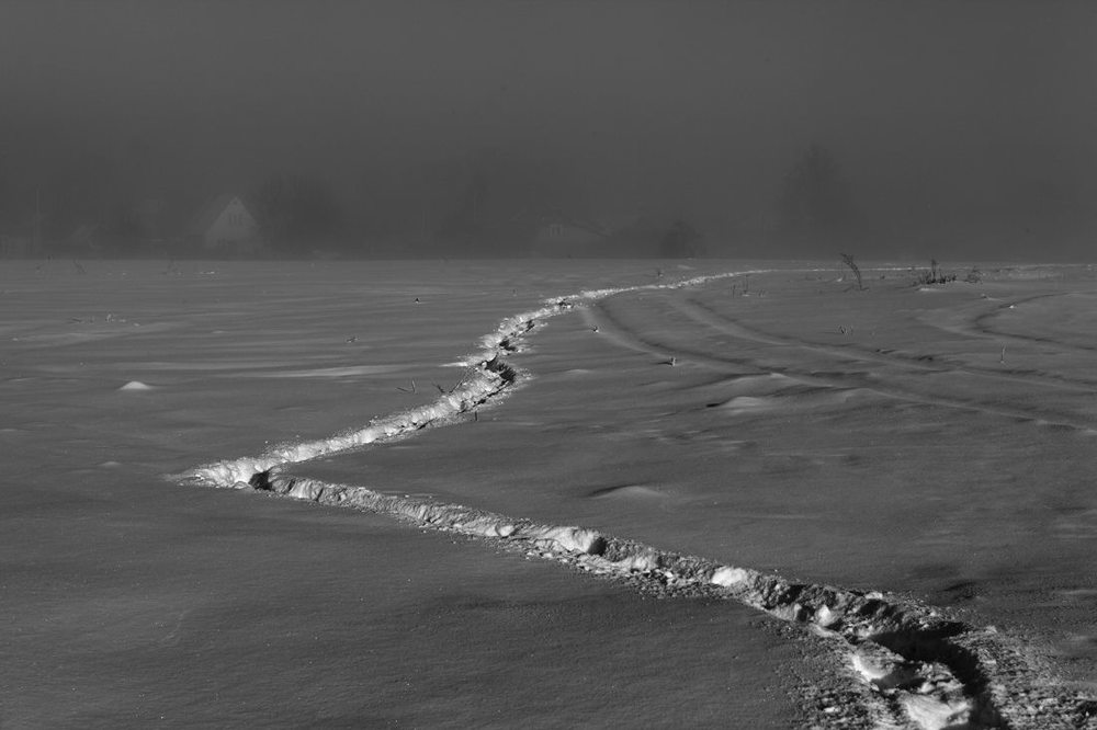 Photograph by Сергей Прокошин