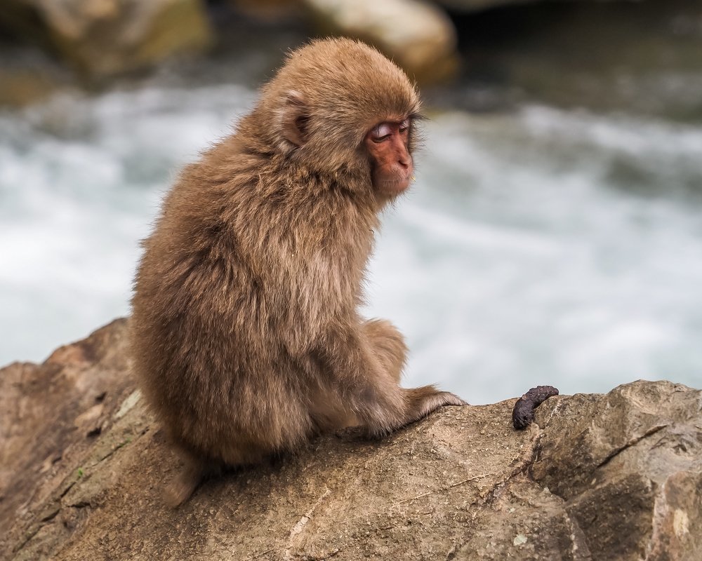 Photograph by Photons Reflectitur