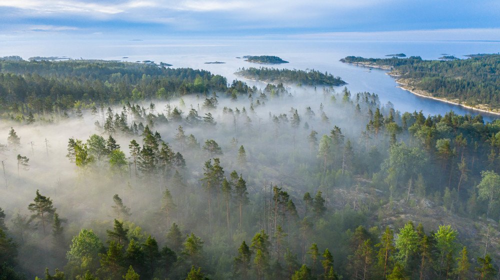туманное утро на Ладоге