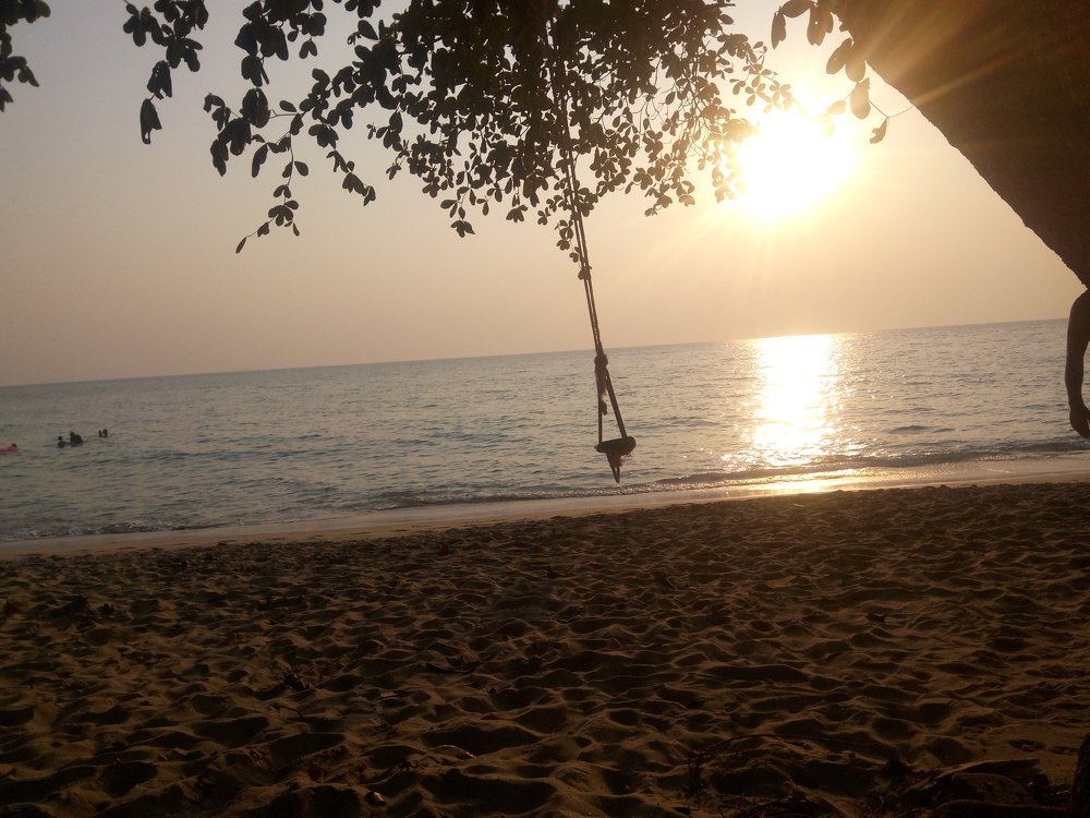 Photo #4236472