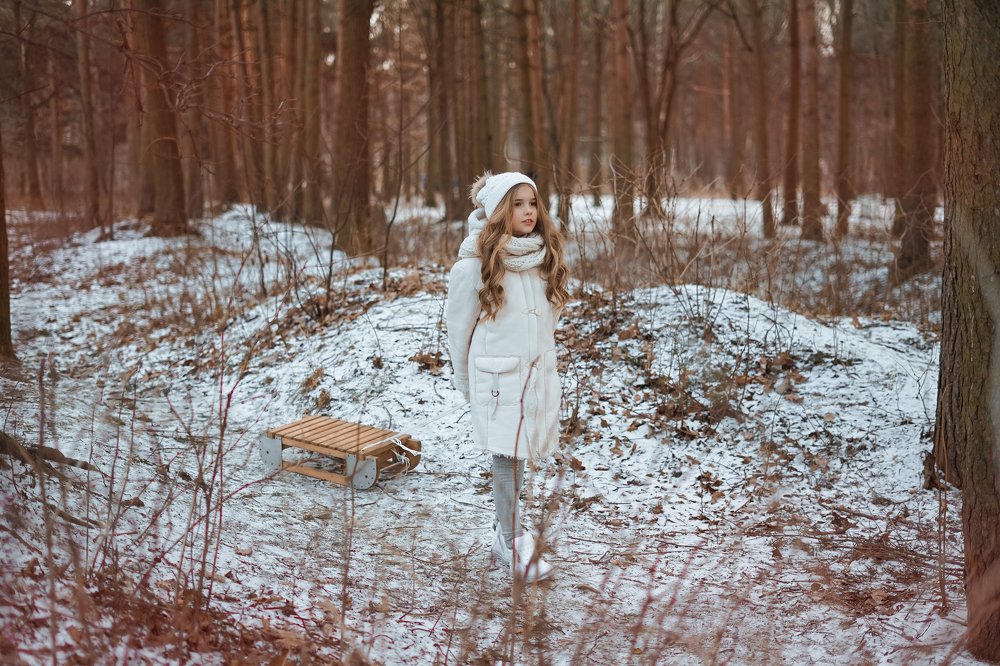 Лесная сказка