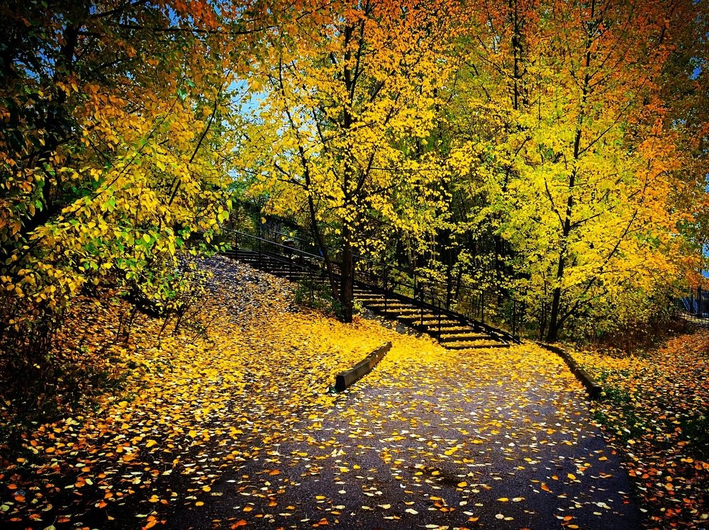 Photograph by Черкасов