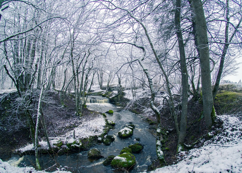 Photograph by Ольга Линк