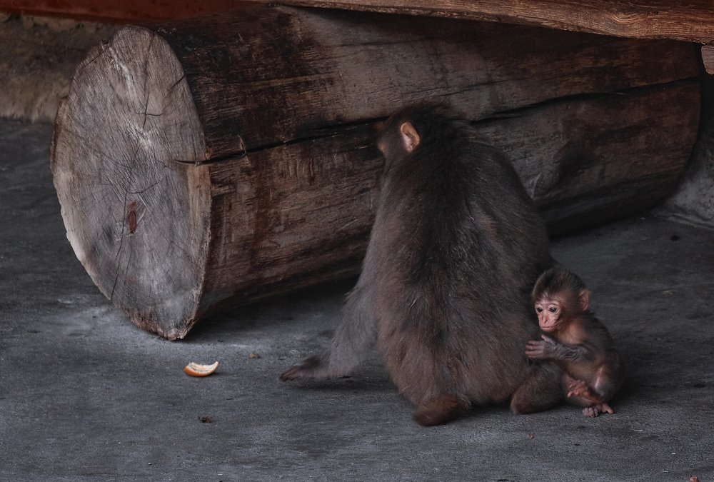 Photograph by Екатерина