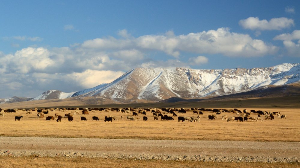 Осень на джайлоо