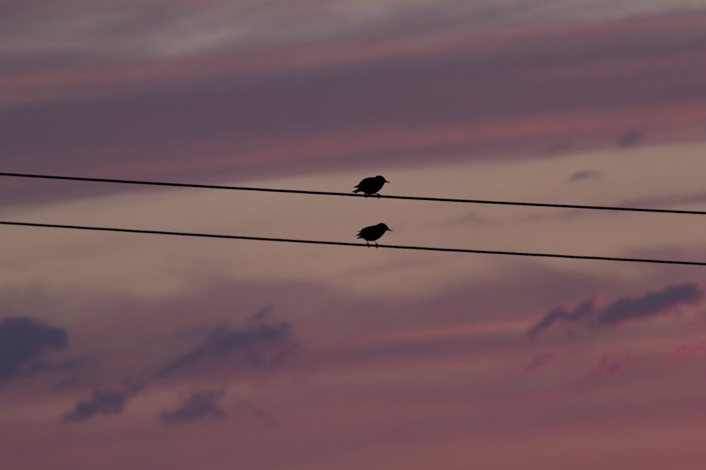 Photograph by Эвелина Моисеева