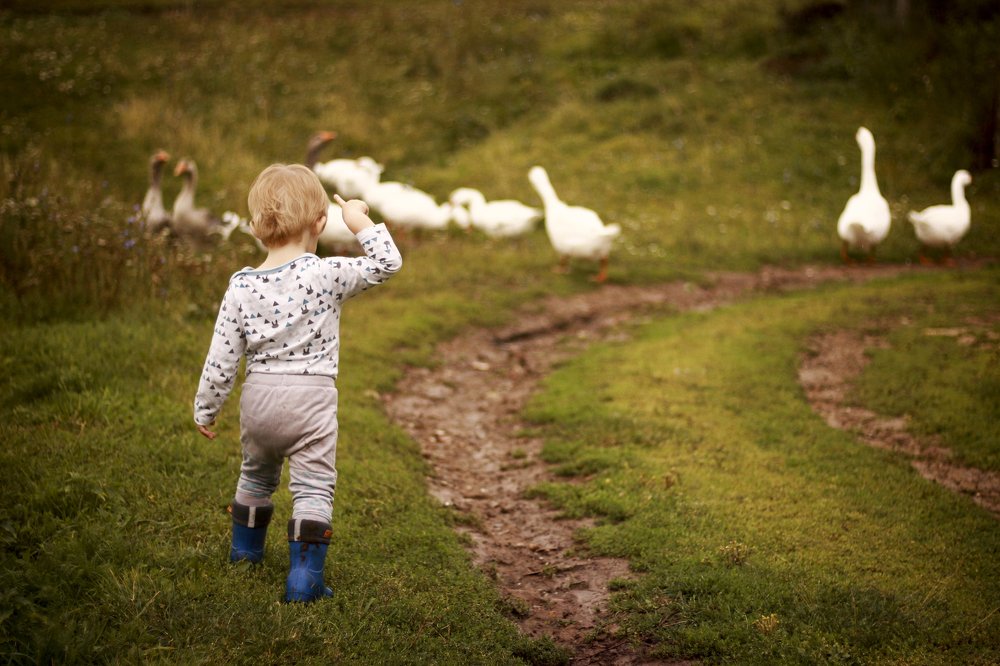 Photograph by Эля Булыгина