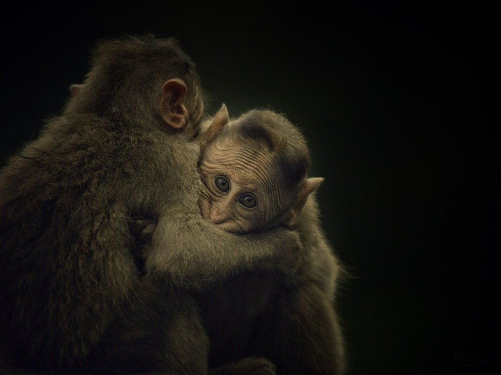 Photograph by Pranit Bora