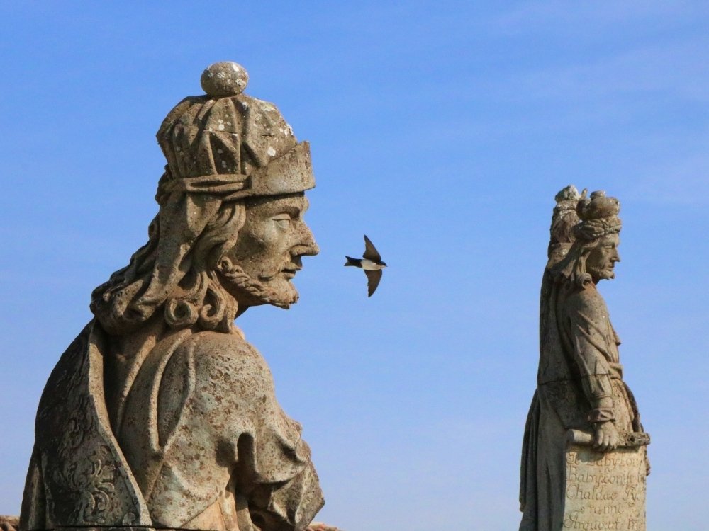 Photograph by Wallace Ribeiro de Jesus