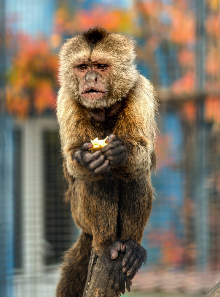 Photograph by Вадим Стрельцов