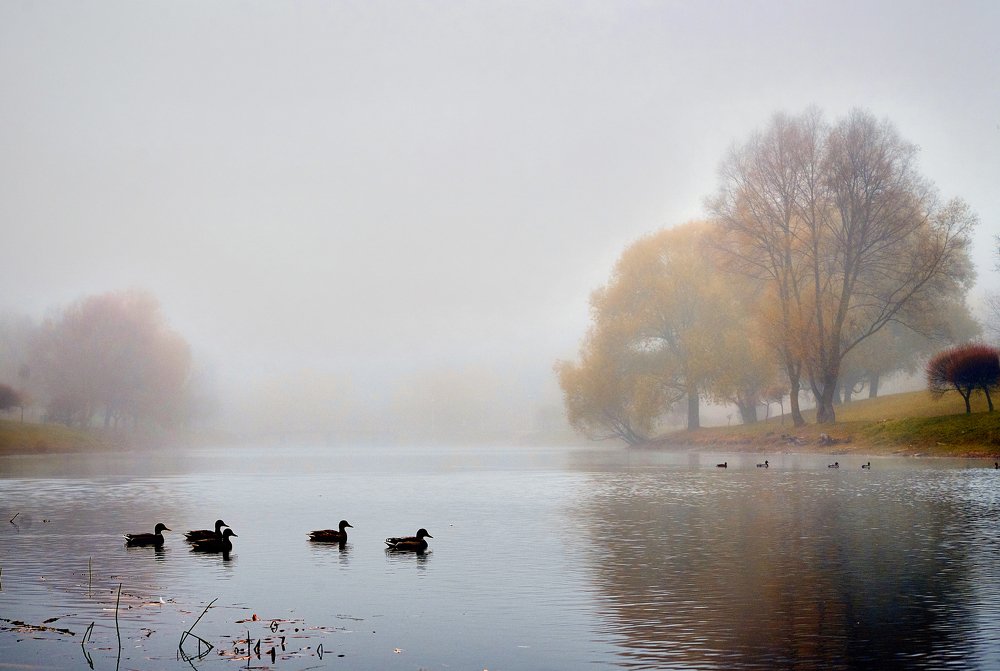 Photograph by Екатерина Коломыцева