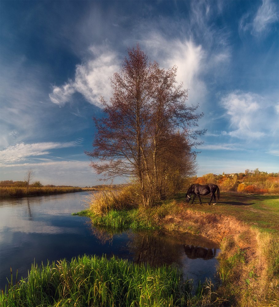 Фотография автора Тимур Подколзин