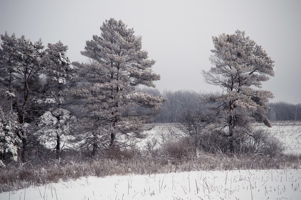 Photograph by Анна Толмачёва