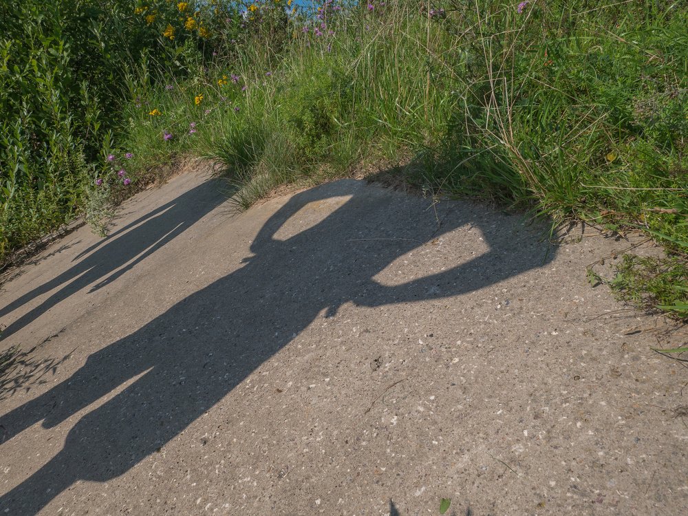 Photograph by Михаил Шохин