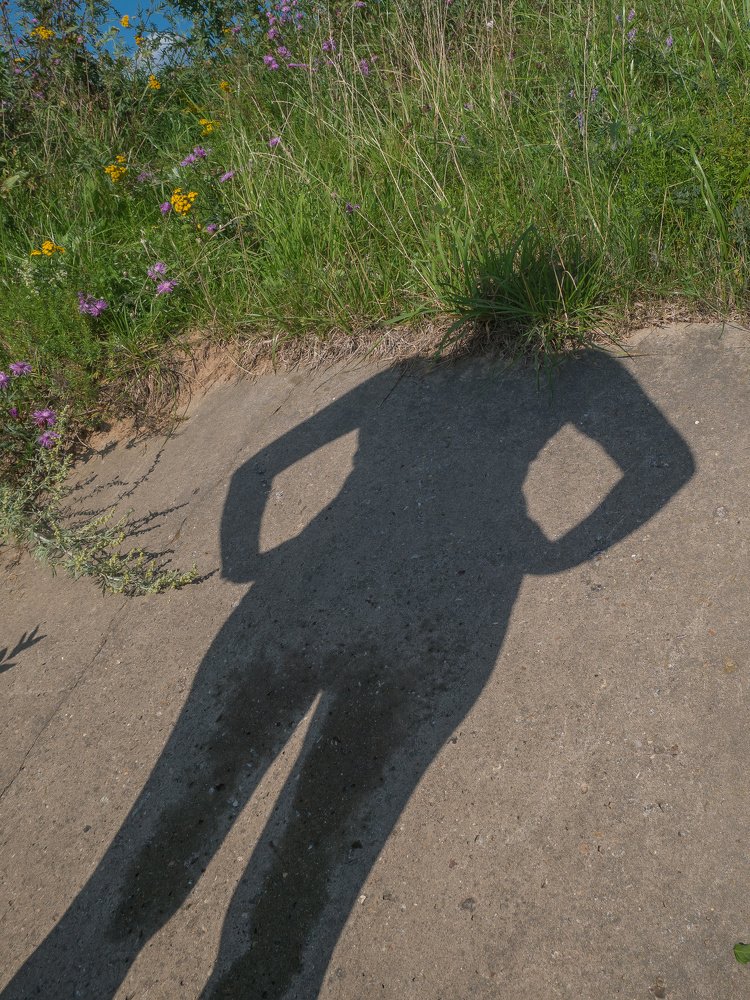 Photograph by Михаил Шохин
