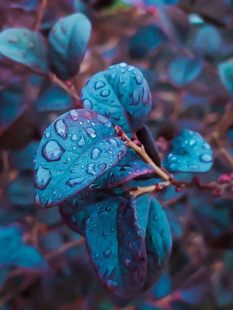 Photograph by Christina singleton