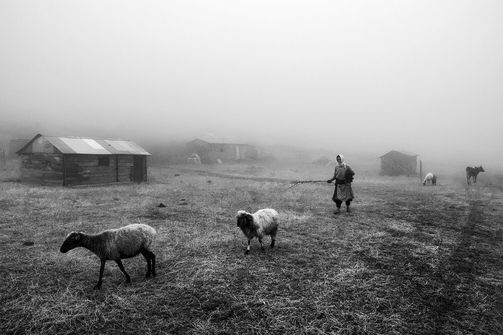 Photograph by Babak Kanaani