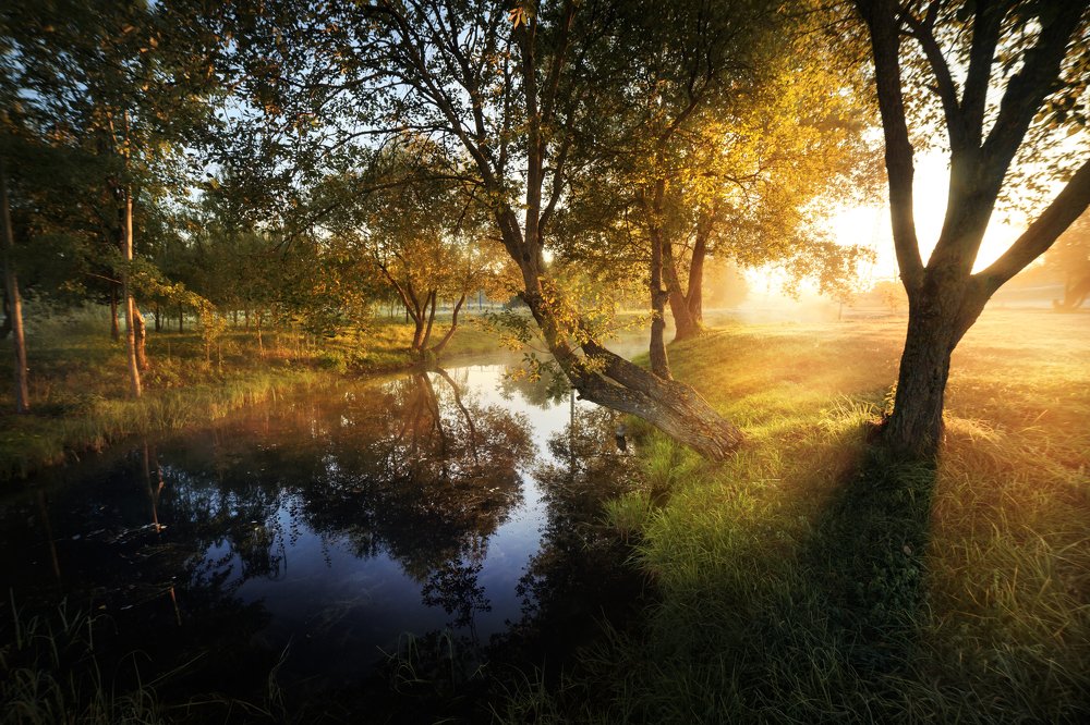 Photograph by Игорь Зайцев