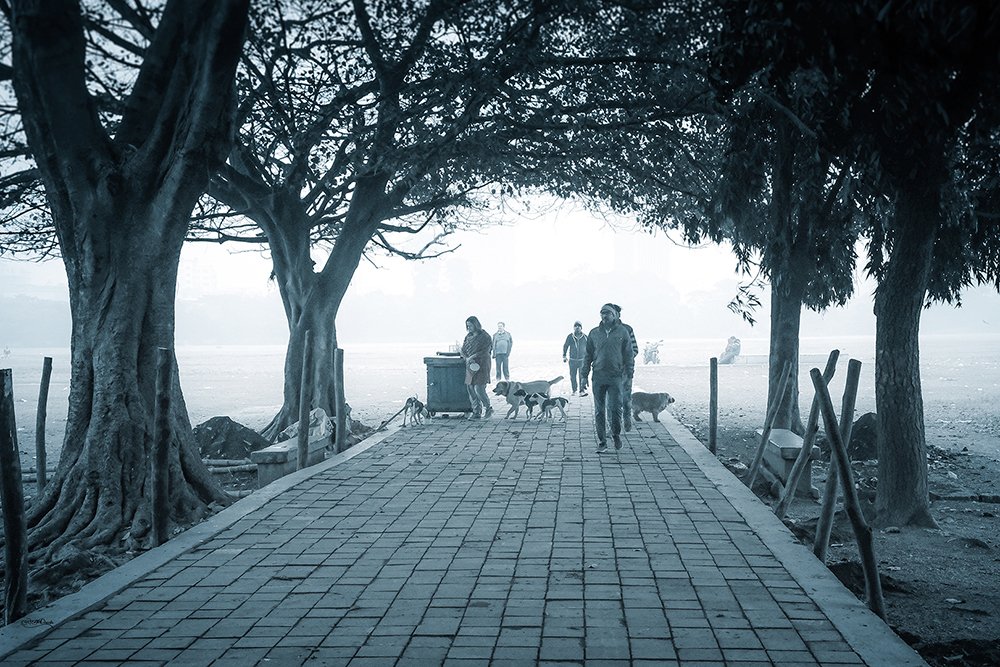 Photograph by Soumen Ghosh