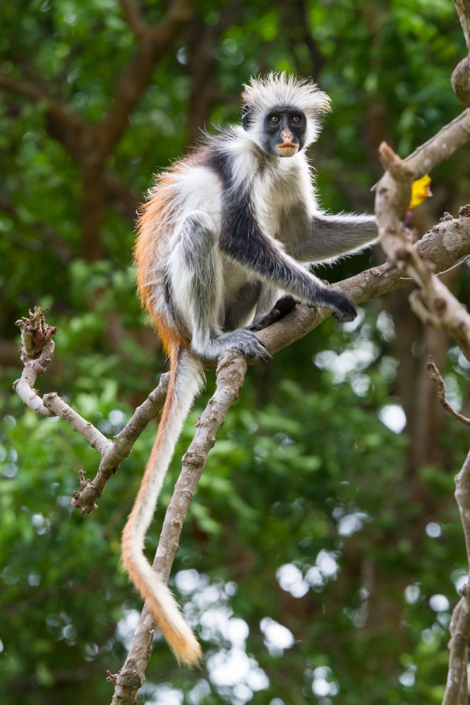 Photograph by Светозар Кръстев