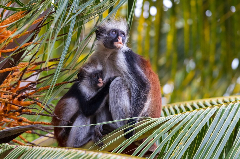 Photograph by Светозар Кръстев