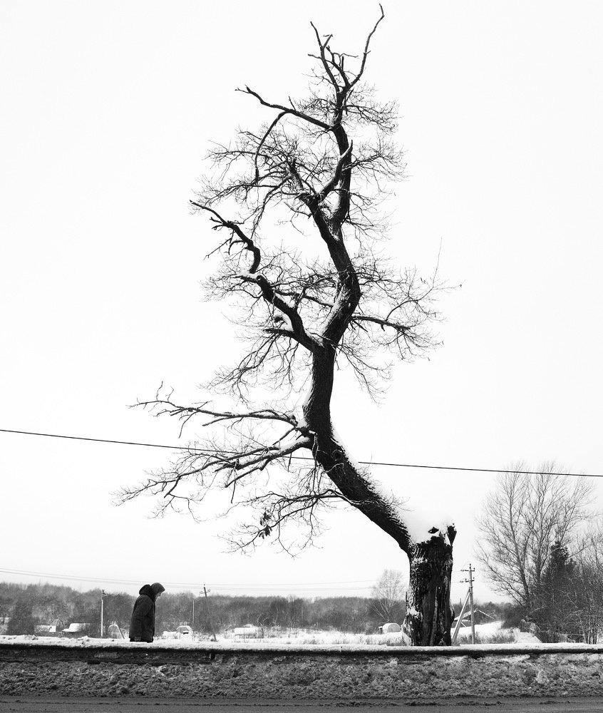 Photograph by Валерий Павлович