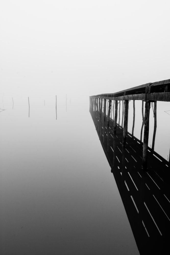 Photograph by Burcea Marius