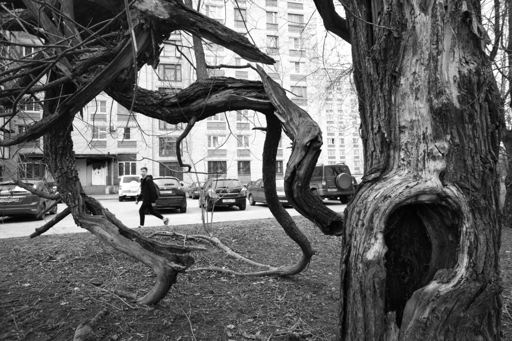 Photograph by Валерий Павлович