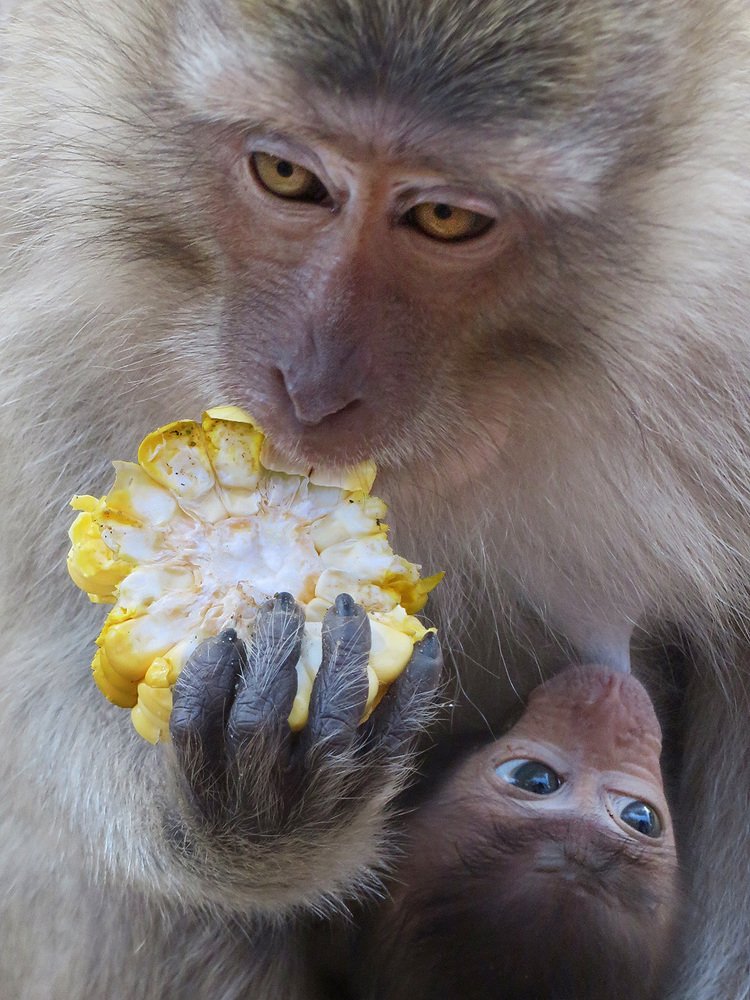 Photograph by Виктория Загайнова