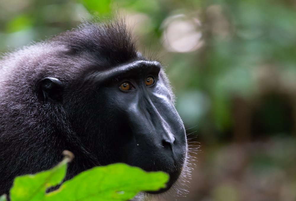 Photograph by Сергей Сыресин