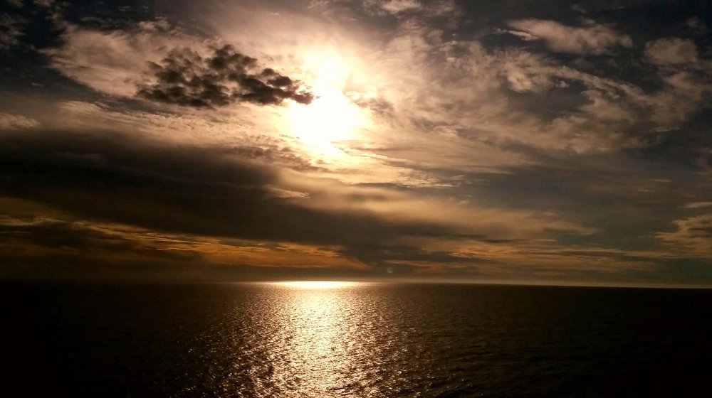 Фотография автора OSMIR ZANETTE