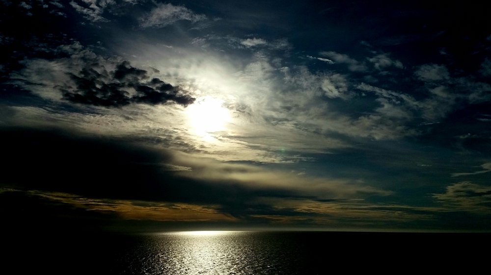 Фотография автора OSMIR ZANETTE