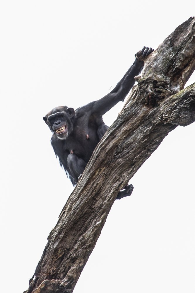 Photograph by Luis Sergio Goncalves