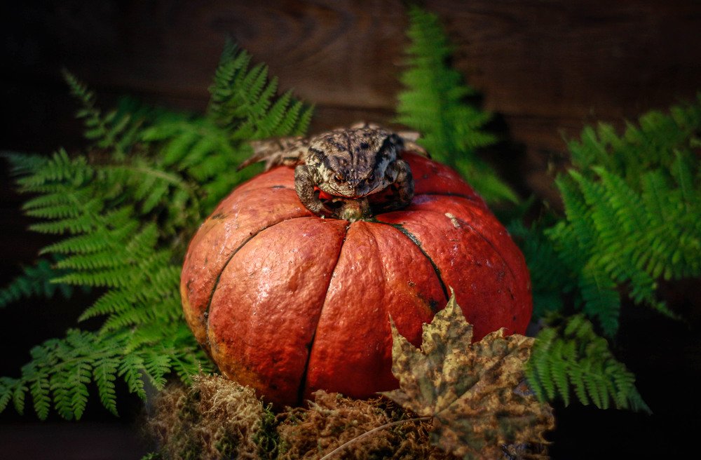 Photograph by Маргарита Федурина