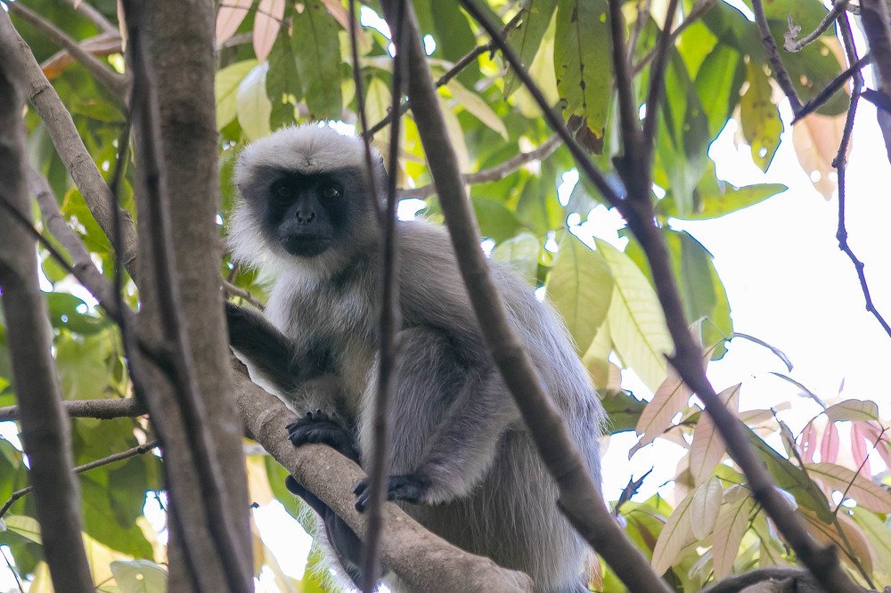 Photograph by Алексей Середенин