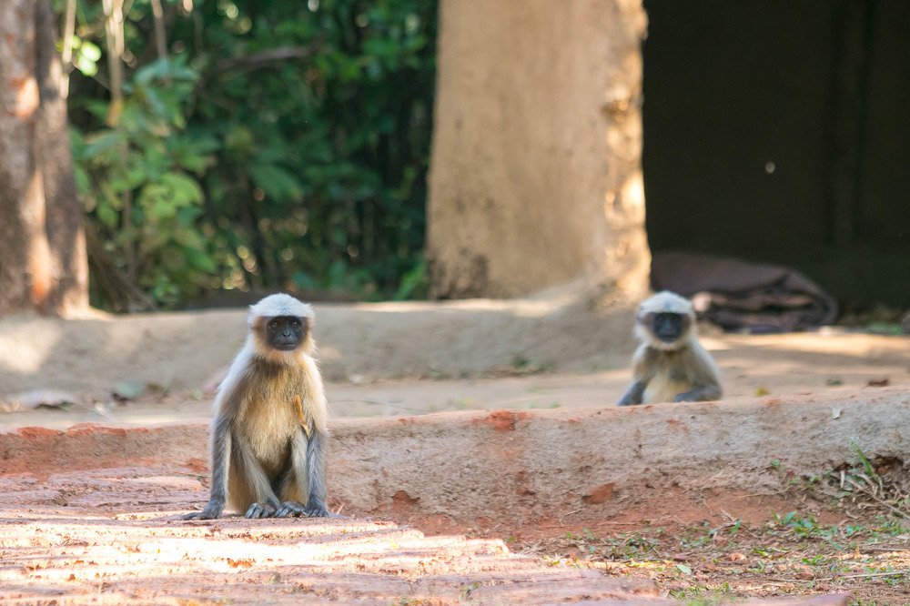Photograph by Алексей Середенин