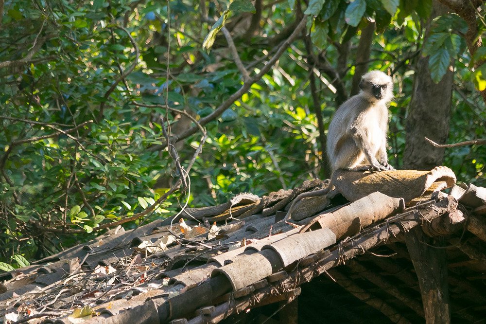 Photograph by Алексей Середенин