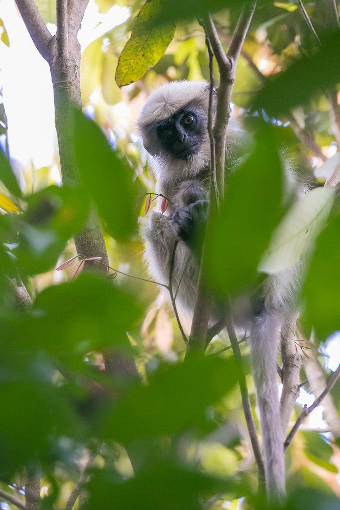 Photograph by Алексей Середенин