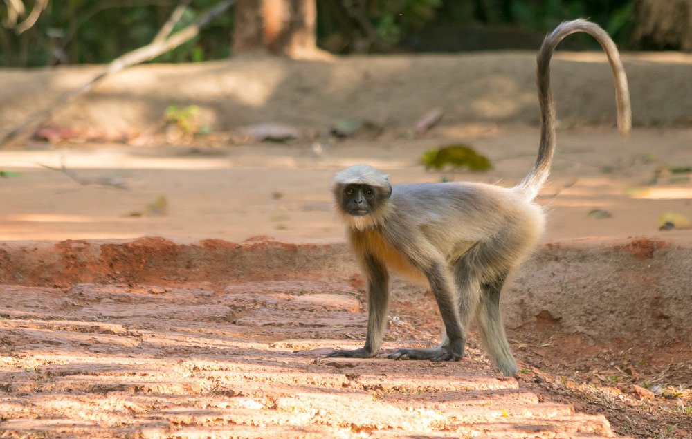 Photograph by Алексей Середенин