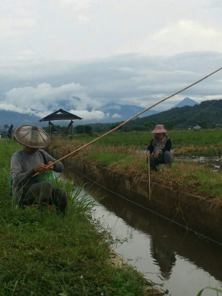 Fishing for living