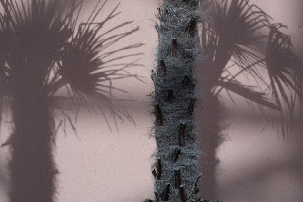 Photograph by Mitya Pylaev