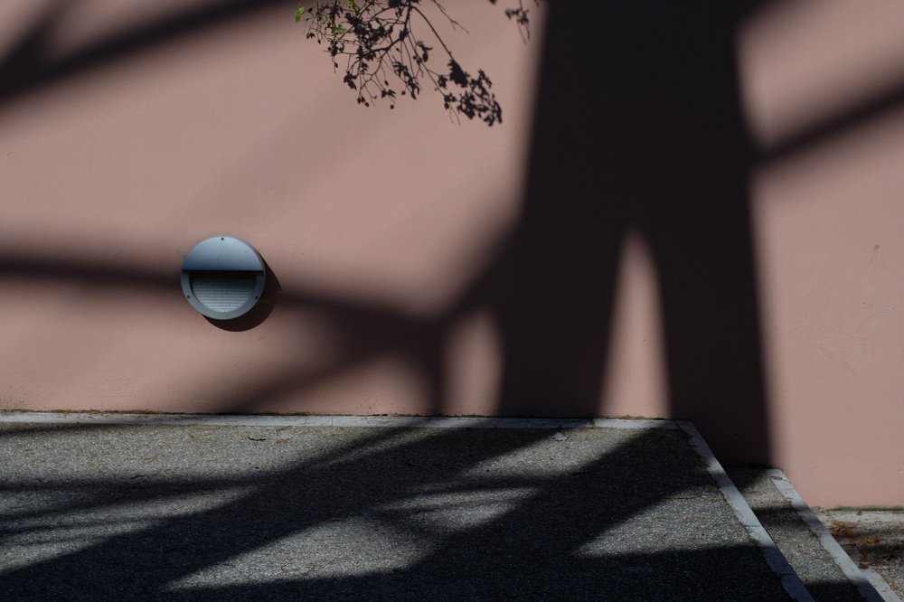 Photograph by Mitya Pylaev