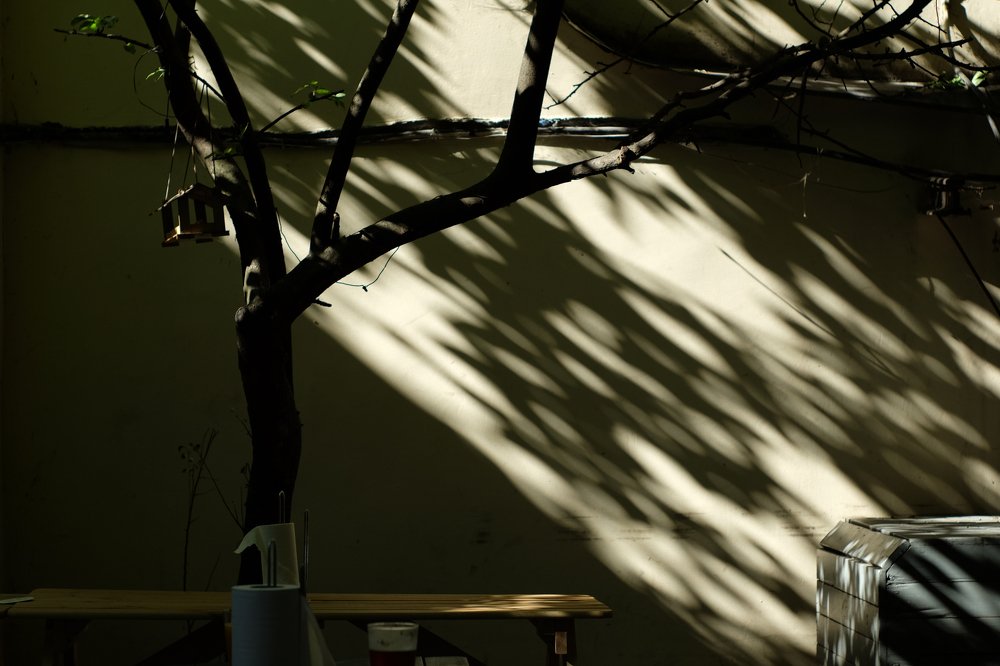 Photograph by Mitya Pylaev