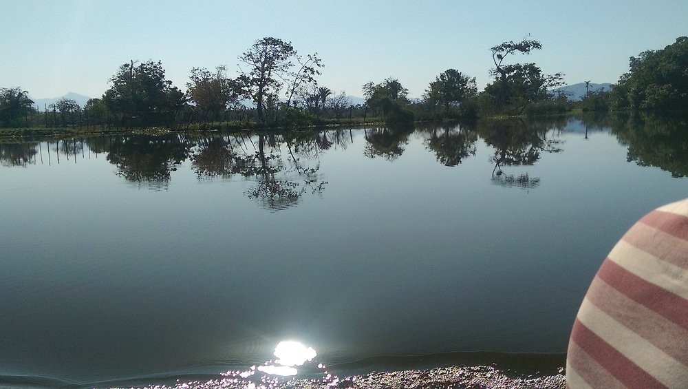 Photo #4238198