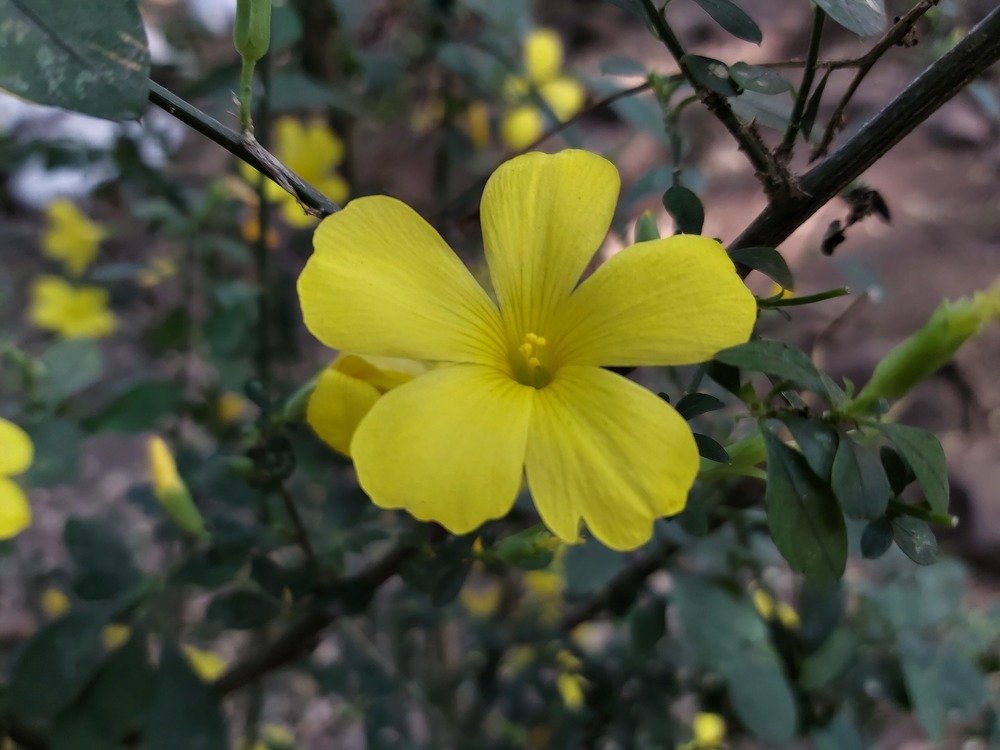 Photo #4238238
