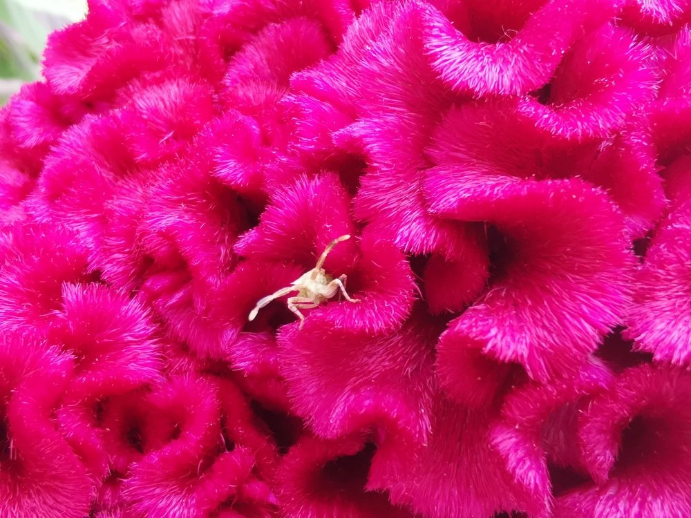 Photograph by Hooi Chuen Keh