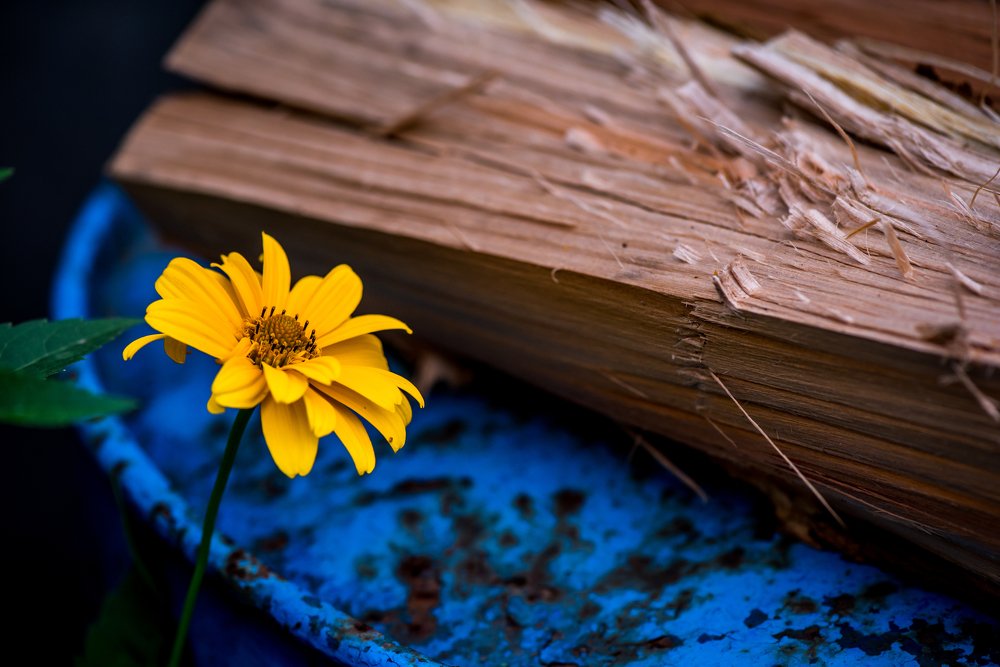 Photograph by Антон Новгородов