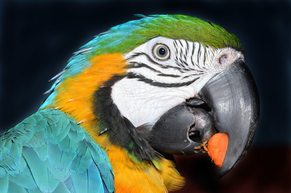 Photograph by Татьяна Кабанец